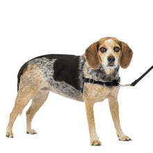Load image into Gallery viewer, Easy Walk® Harness, No Pull Dog Harness
