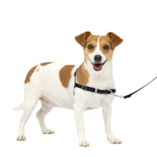 Load image into Gallery viewer, Easy Walk® Harness, No Pull Dog Harness
