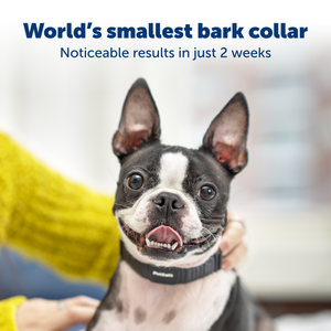 NanoBark™ Collar