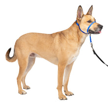 Load image into Gallery viewer, Gentle Leader® Headcollar, No-Pull Dog Collar
