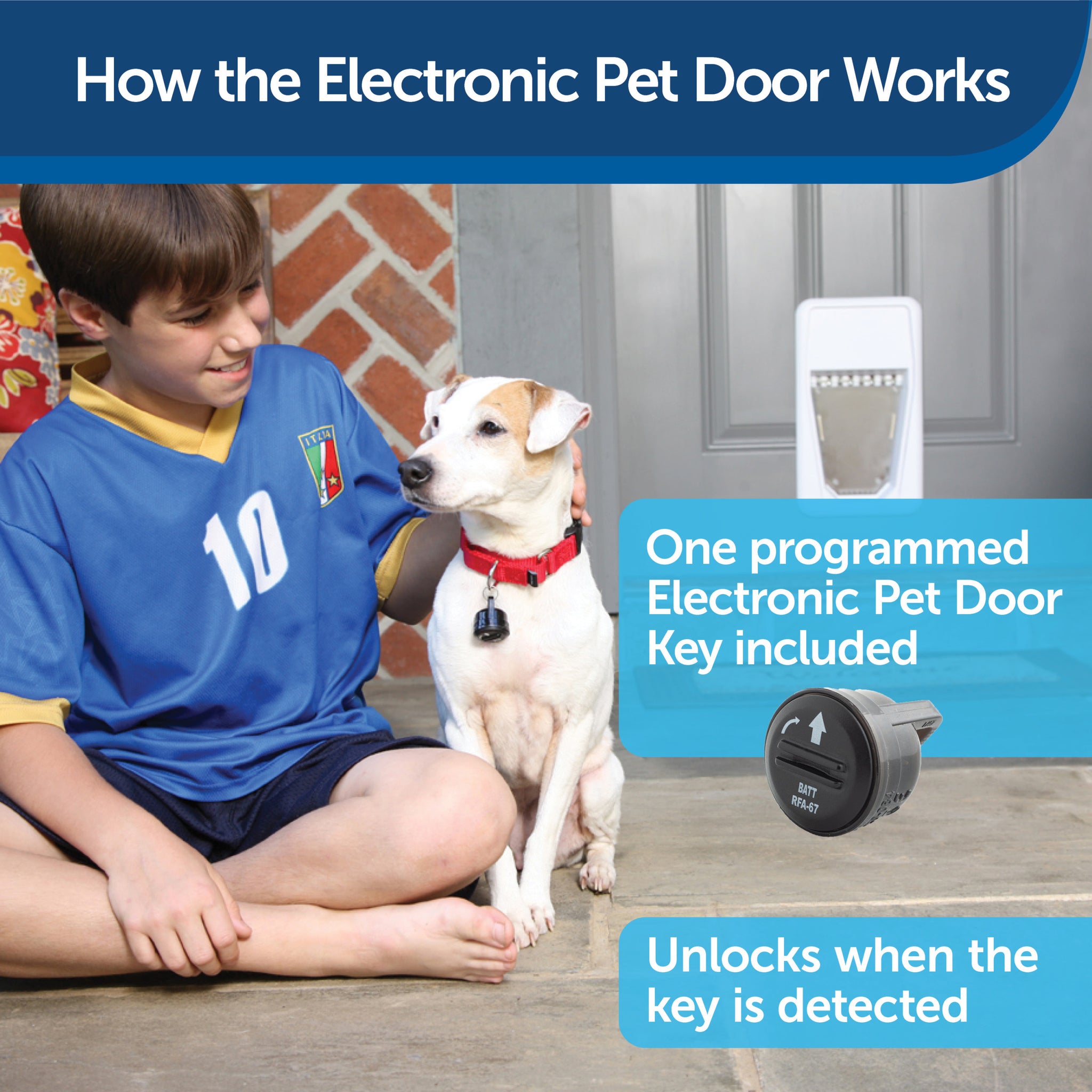 Shop for Electronic SmartDoor™ Small by PetSafe PPA1110711