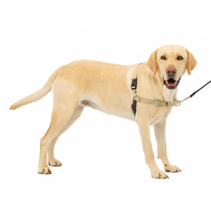 Easy Walk® Harness, No Pull Dog Harness