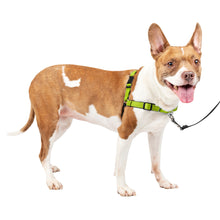 Load image into Gallery viewer, Deluxe Easy Walk® Harness
