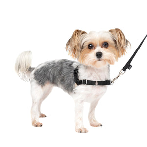 Easy Walk® Harness, No Pull Dog Harness