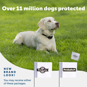 A happy dog enjoying their yard and 2 packaging options you may receive PetSafe has a new brand look Over 11 million dogs protected