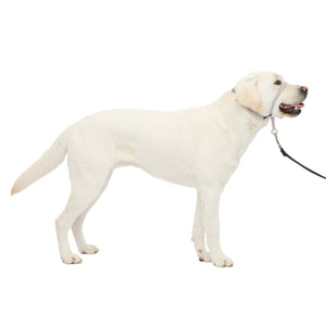 Gentle Leader® Headcollar, No-Pull Dog Collar