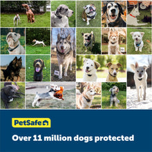 Load image into Gallery viewer, over eleven million dogs protected
