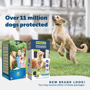 A happy dog enjoying their yard and 2 packaging options you may receive PetSafe has a new brand look Over 11 million dogs protected
