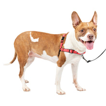 Load image into Gallery viewer, Deluxe Easy Walk® Harness
