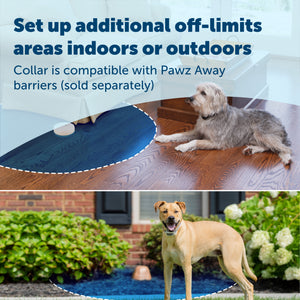 set up additional off limits areas indoors or outdoors collar is compatible with Pawz Away barriers sold separately dog inside and dog outside